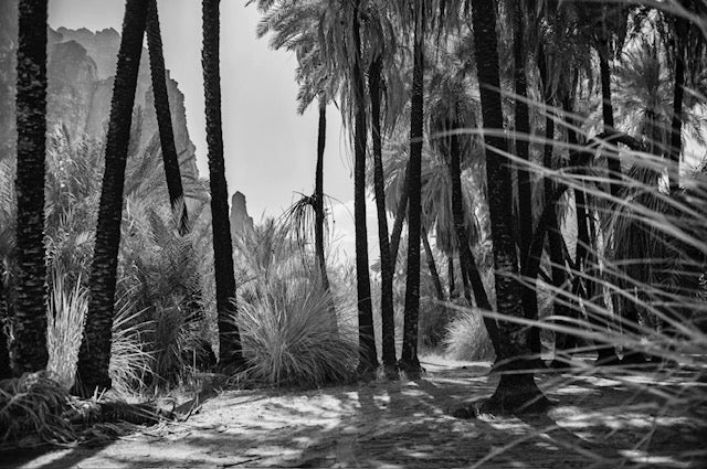 Photograph 100x150cm